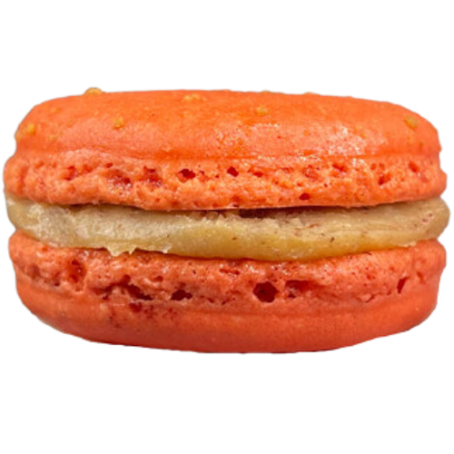 macaron SPECULOOS